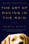 The-Art-of-Racing-in-the-Rain